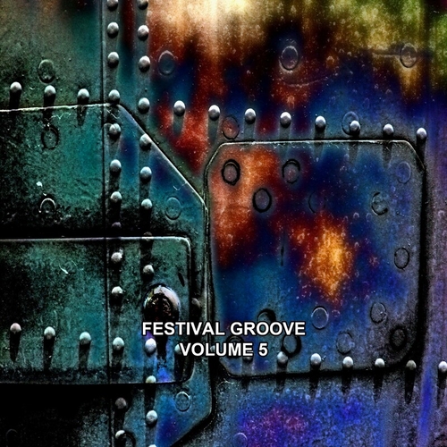 VA - Festival Groove, Vol. 5 [NH23378]